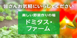 皆さんお気軽にいらしてください　楽しい野菜作りの場　ドミタス・ファーム