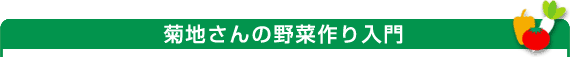 菊地さんの野菜作り入門