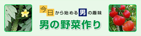 今日から始める男の趣味 男の野菜作り