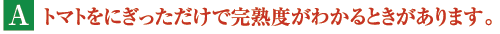 A.トマトをにぎっただけで完熟度がわかるときがあります。