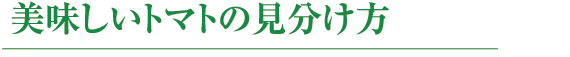 美味しいトマトの見分け方