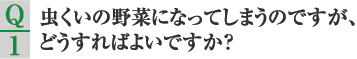 Q1.虫食いの野菜になってしまうのですが、どうすればよいですか？