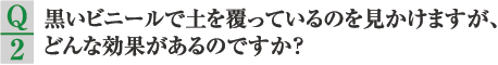 Q2.黒いビニールで土を覆っているのを見かけますが、どんな効果があるのですか？