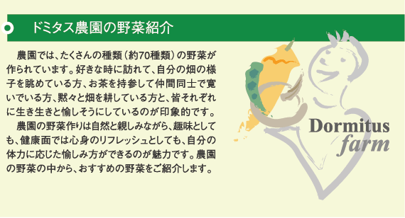 ドミタス農園の野菜紹介/農園では、たくさんの種類（約70種類）の野菜が作られています。好きな時に訪れて、自分の畑の様子を眺めている方、お茶を持参して仲間同士で寛いでいる方、黙々と畑を耕している方と、皆それぞれに生き生きと愉しそうにしているのが印象的です。農園の野菜作りは自然に親しみながら、趣味としても、健康面では心身のリフレッシュとしても、自分の体力に応じた愉しみ方ができるのが魅力です。農園の野菜の中から、おすすめの野菜をご紹介します。