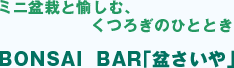 ミニ盆栽を楽しむ、くつろぎのひととき　BOSAI BAR「盆さいや」