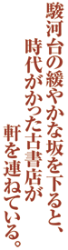 駿河台の緩やかな坂を下ると、時代がかった古書店が軒を連ねている